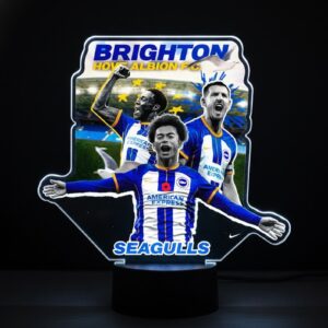 Brighton & Hove Albion LED Lamp - Custom Football Team 3D Illusion Night Light