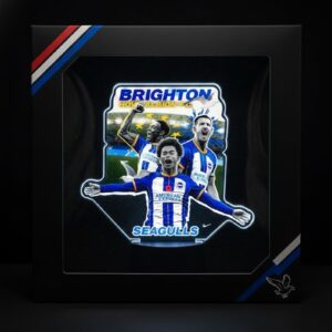 Brighton & Hove Albion LED Lamp - Custom Football Team 3D Illusion Night Light