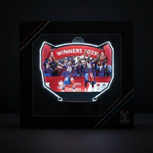 Crystal Palace FA Cup Winners Lamp - Personalized 2025 Champions 3D Illusion Night Light