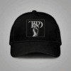 The Tortured Poets Department Hat - Taylor Swift Album Cover Art Black Dad Cap