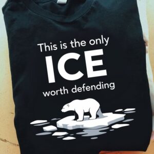 Polar Bear This is the only ICE worth defending 2026 T-Shirt