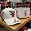 Chicago Bulls Derrick Rose 1 2008-2016 Cap