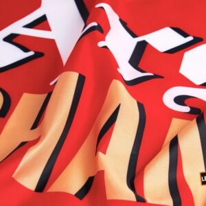 Arsenal Football Club Premier League Champions 25/26 Season Flag