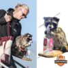 Erling Haaland Whiskey Raccoon 2026 Decorative Figurine