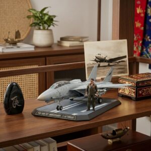 Top Gun Tom Cruise 40th Anniversary F-14 Tomcat Figure