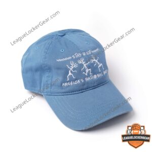 America's National Parks Stay Wild Dad Cap