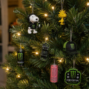 Snoopy Monster Energy Peanuts Characters Christmas Advent Calendar 2026 Collectibles - photo 3