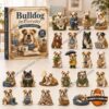 English Bulldog Everyday Life Advent Calendar 2026 - front box and illustrated bulldog ornament designs