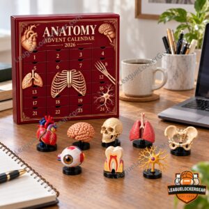 Anatomy 2026 24 Mini Human Organ and Skeleton Models Advent Calendar - skeletal models